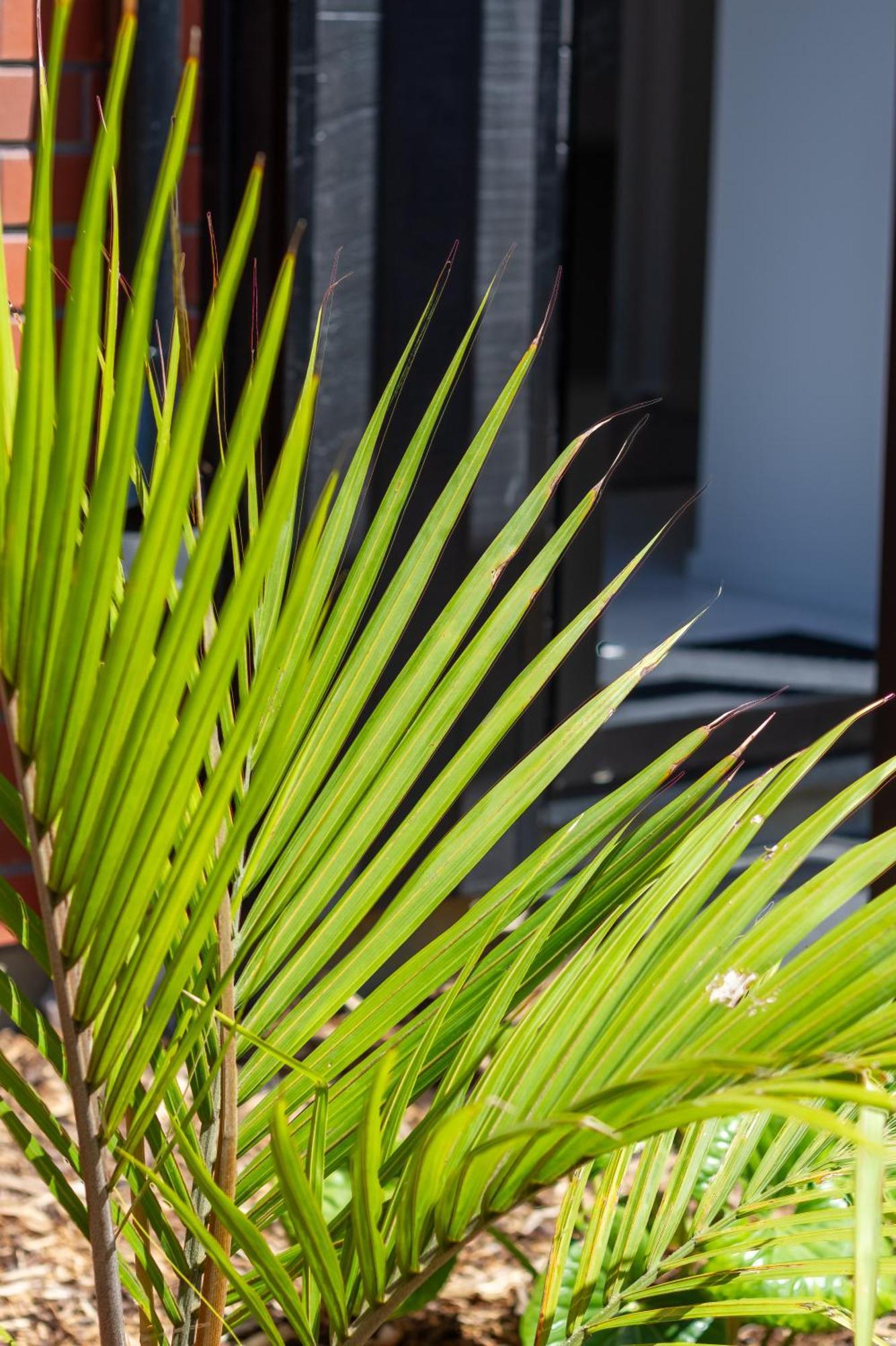 オークランドConveniently Located 2Br Townhouse In West Aklアパートメント エクステリア 写真